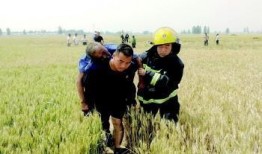 刘老师爆料麦田视频播放,刘老师揭露麦田视频播放内幕